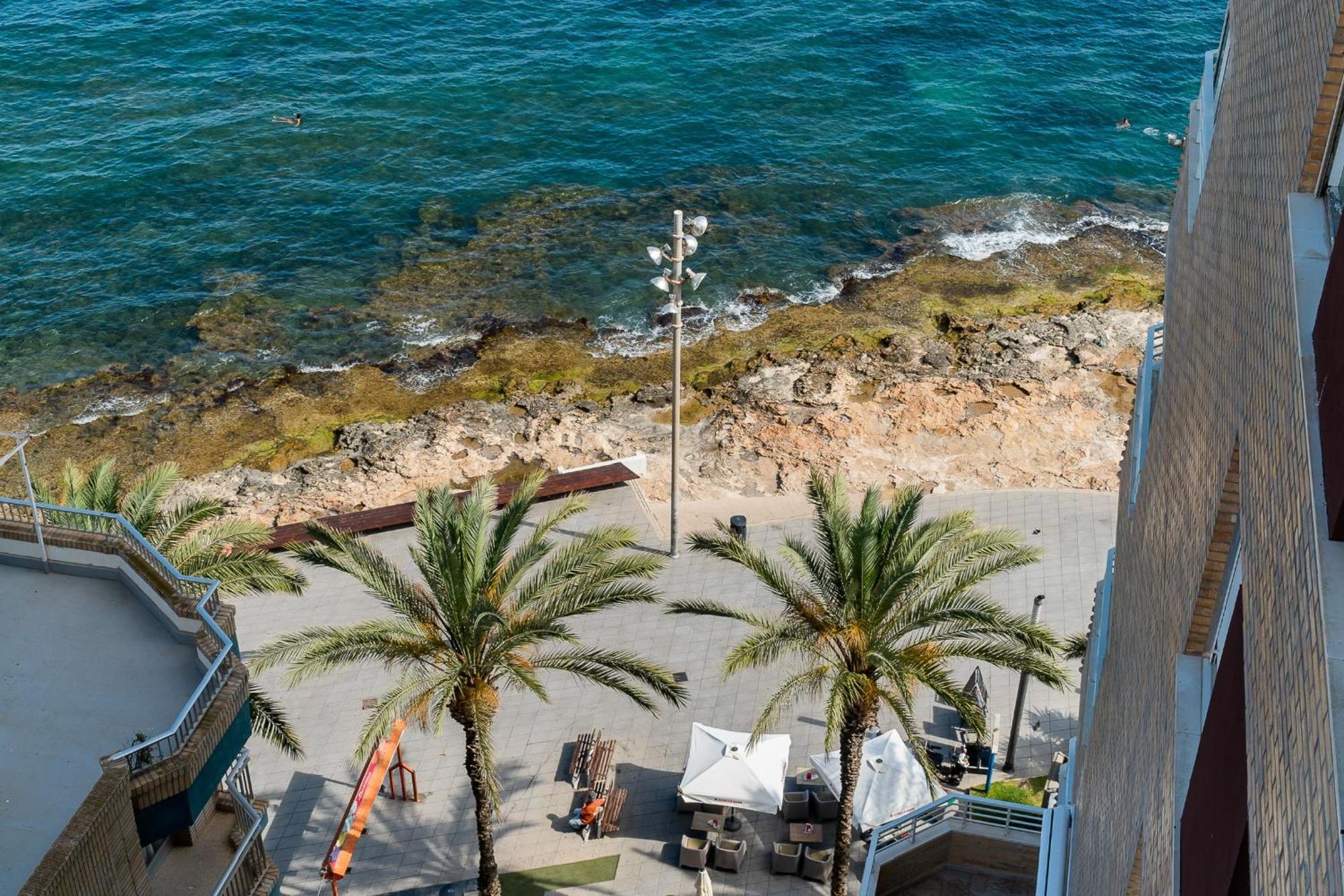 La Paz Leilighet Torrevieja Eksteriør bilde